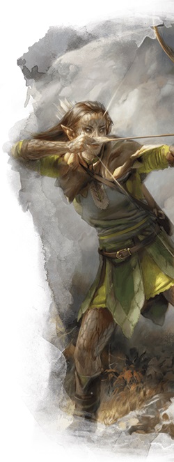 druide2