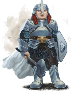 paladin2