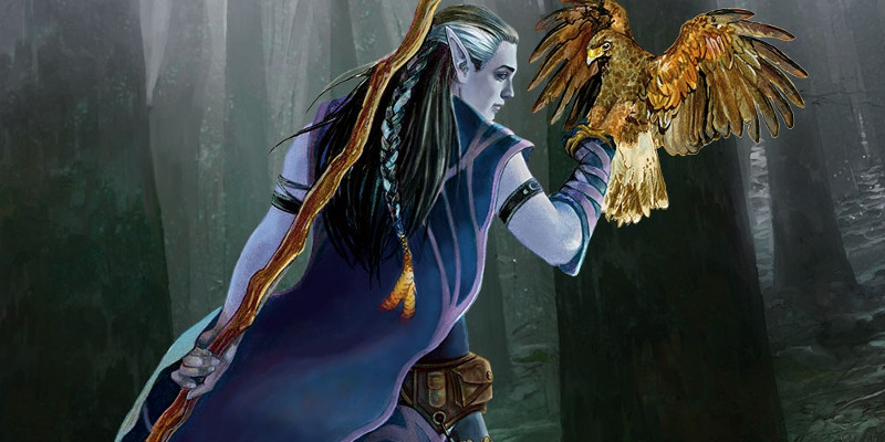 UA druide