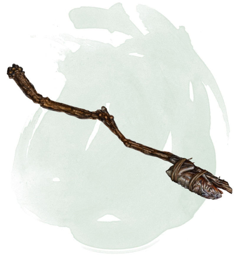 Baguette de métamorphose