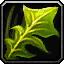 Plante Plante