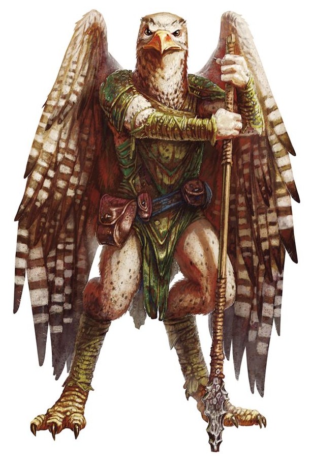 Aarakocra Aarakocra