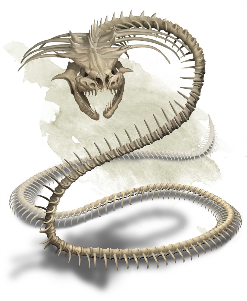 Naga osseux Naga osseux