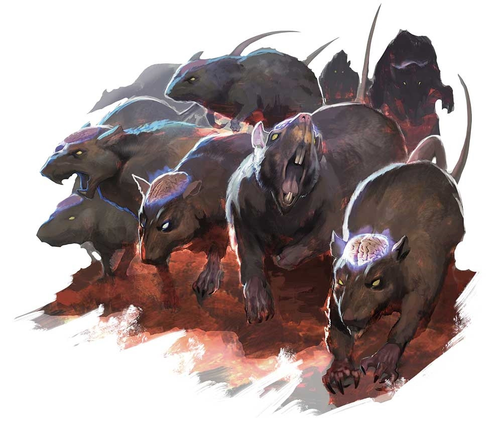 Rat-crâne Rat-crâne