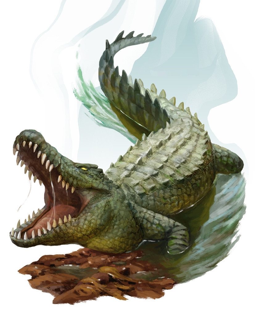Crocodile Crocodile