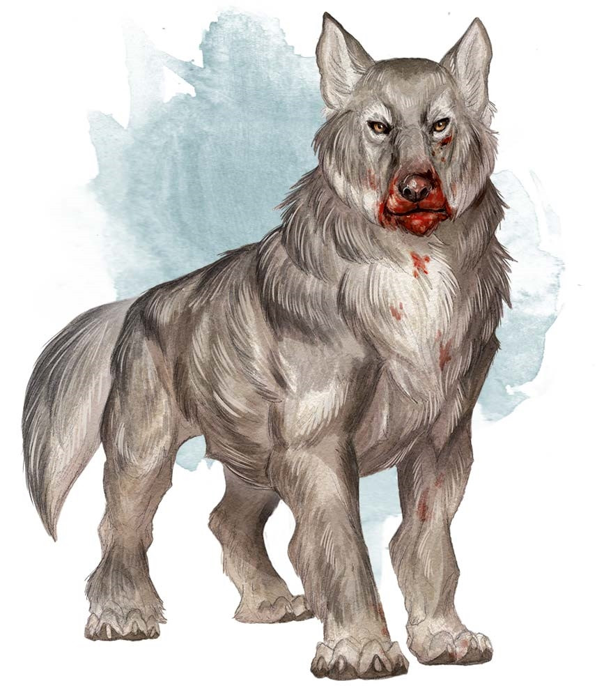 Loup Loup