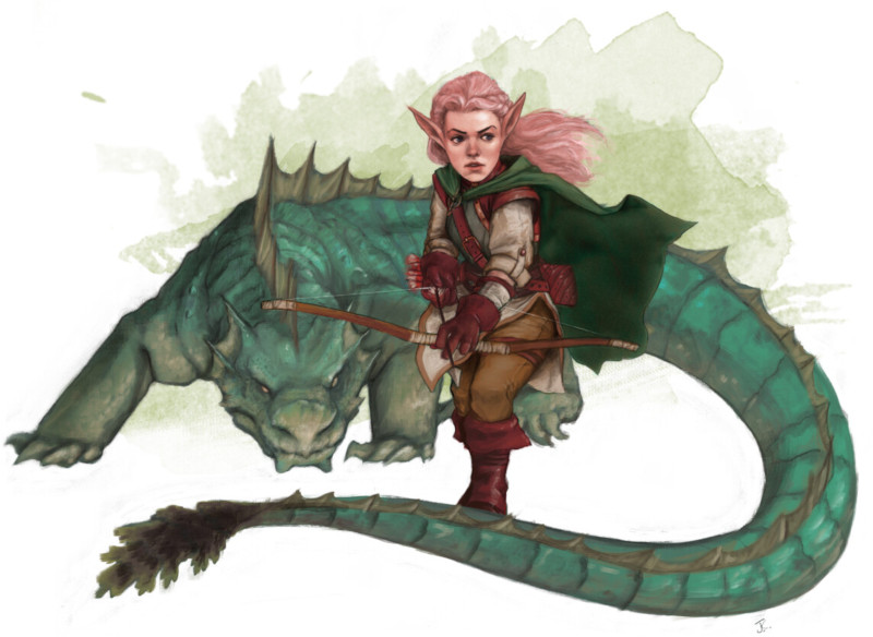 Compagnon Drake Compagnon Drake