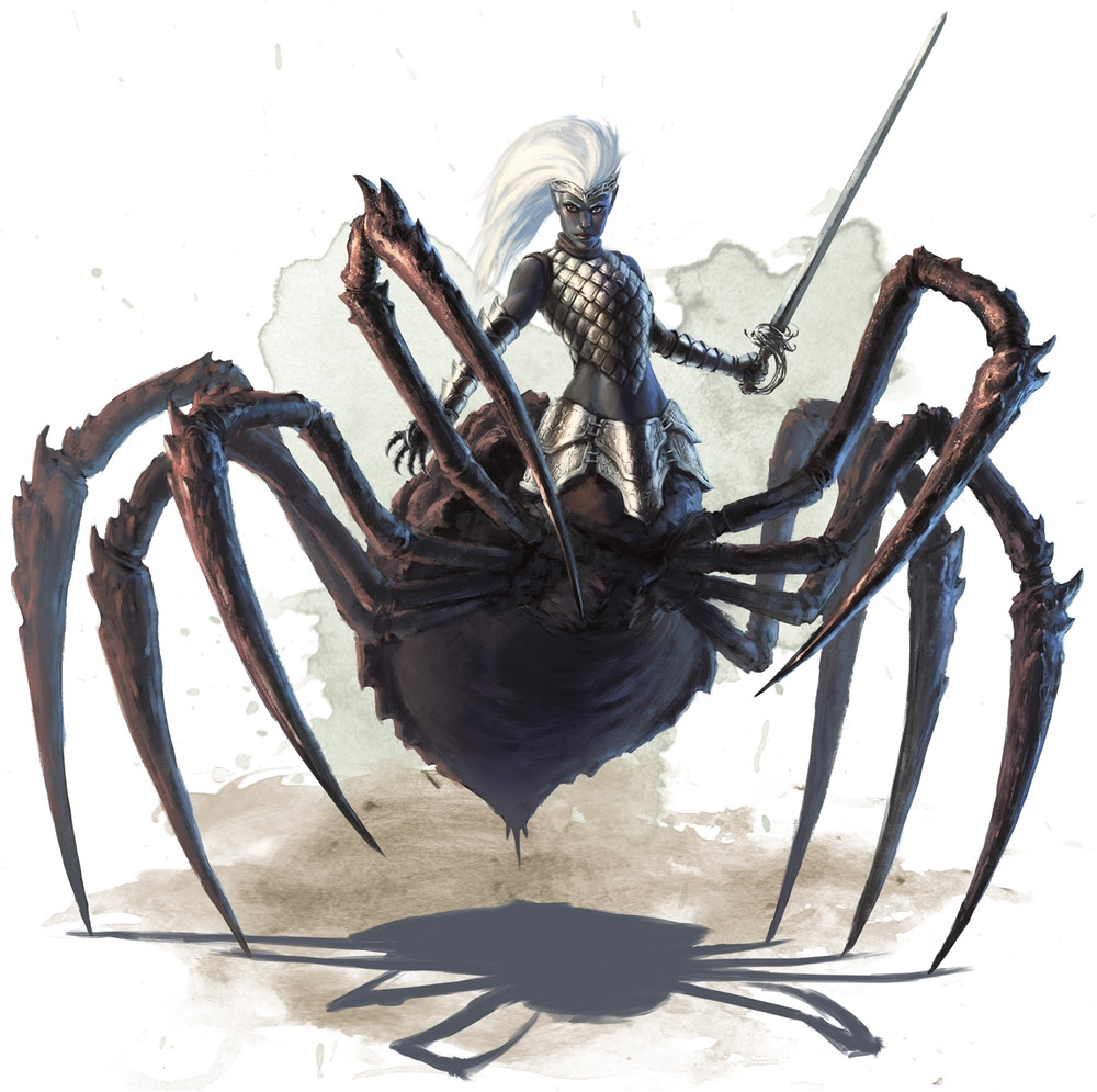 Drider Drider