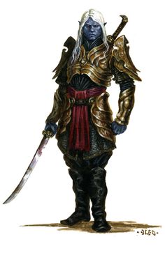 Drow House Captain (5.5) Drow House Captain (5.5)