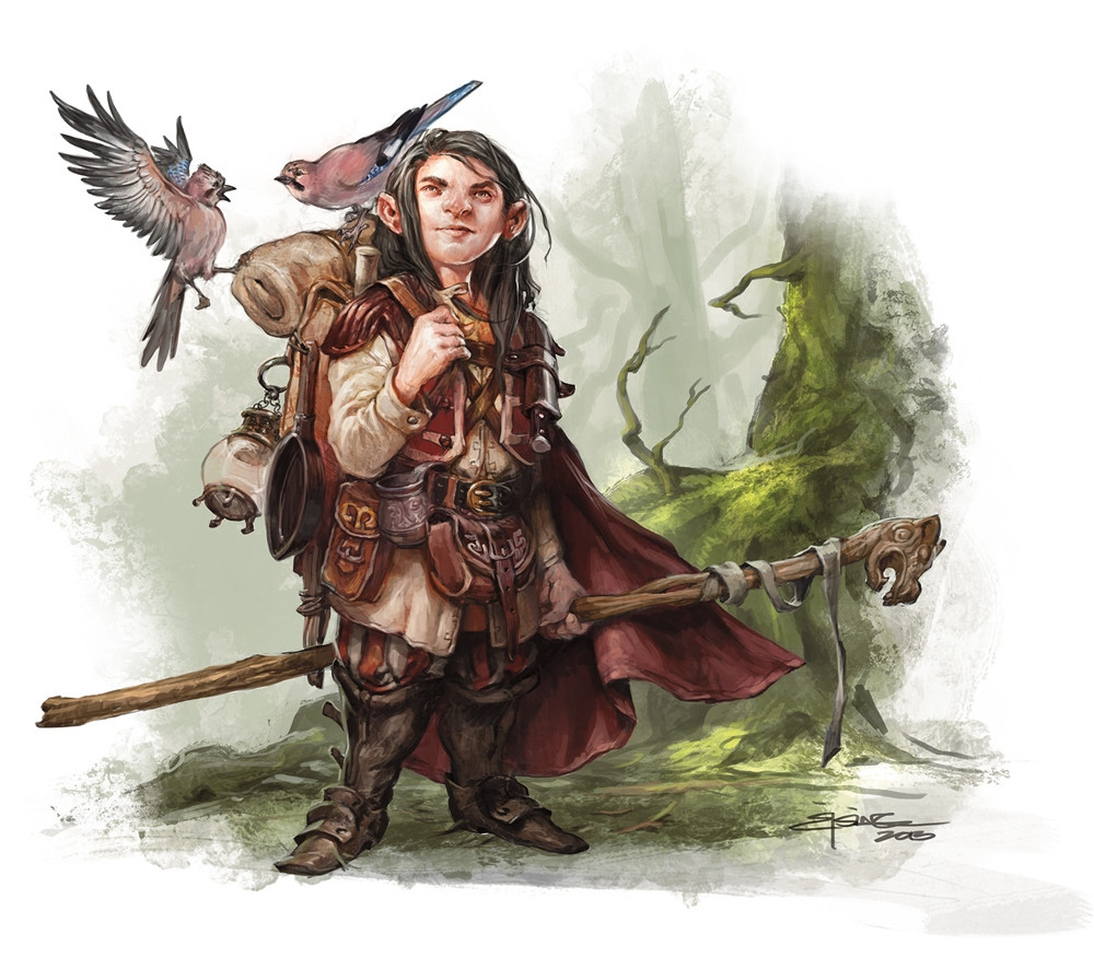 Druide Druide