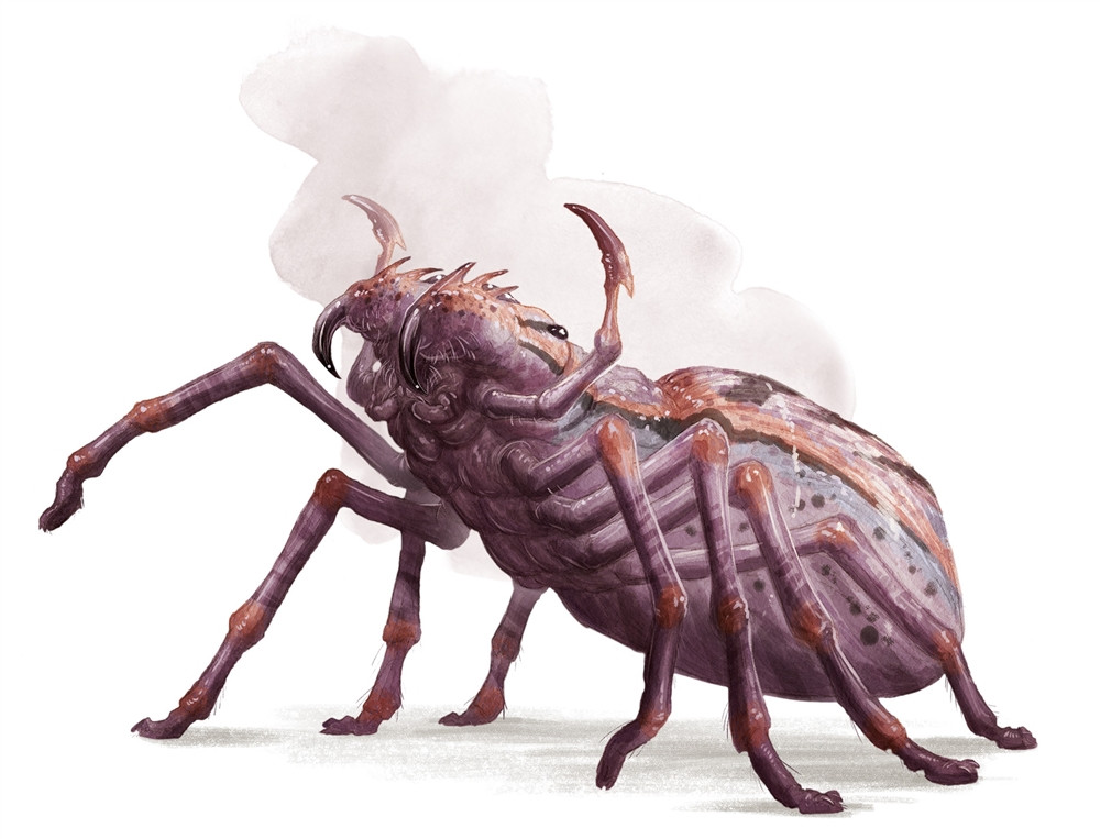 Araignée géante Araignée géante