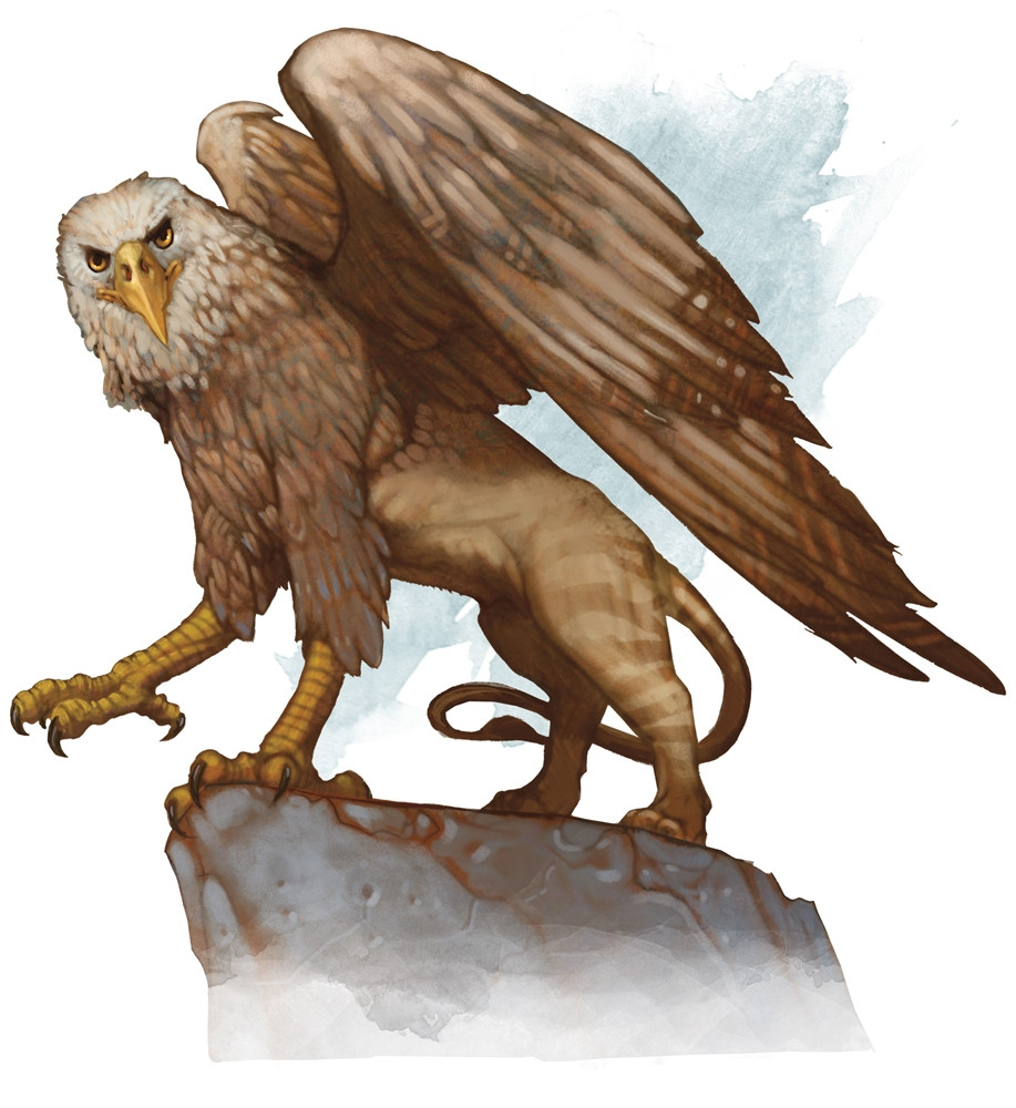 Griffon