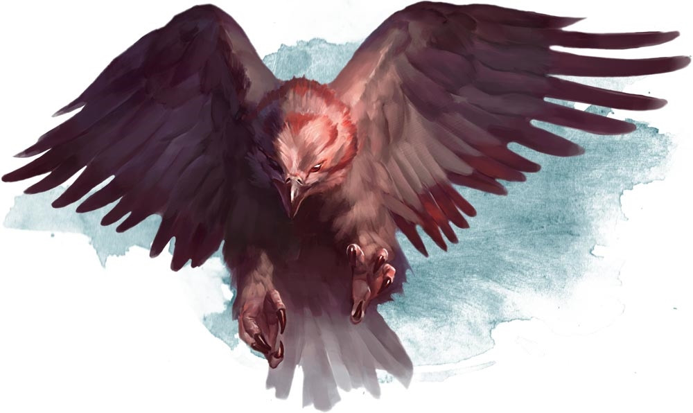Hawk Hawk