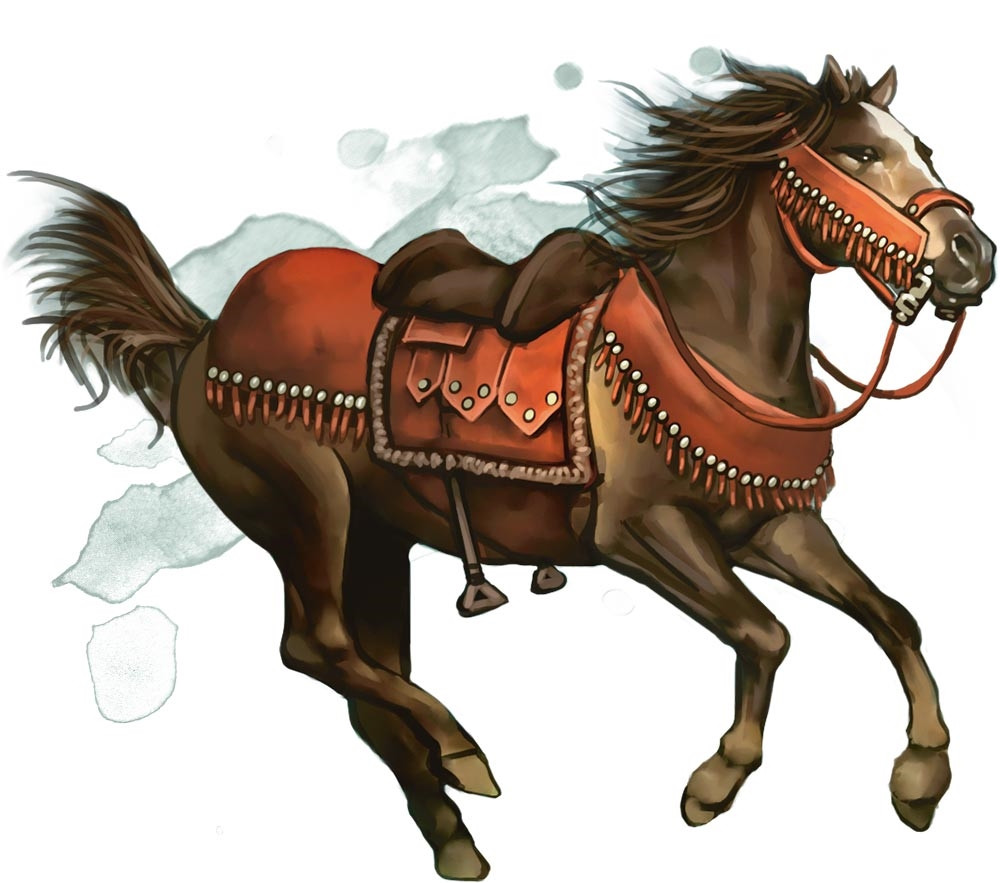 Cheval de selle Cheval de selle