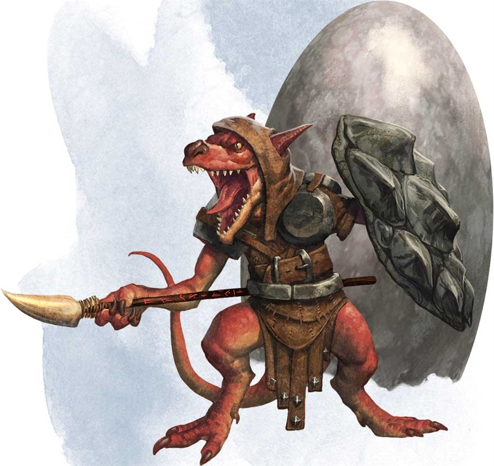 Kobold, bouclier de dragon Kobold, bouclier de dragon