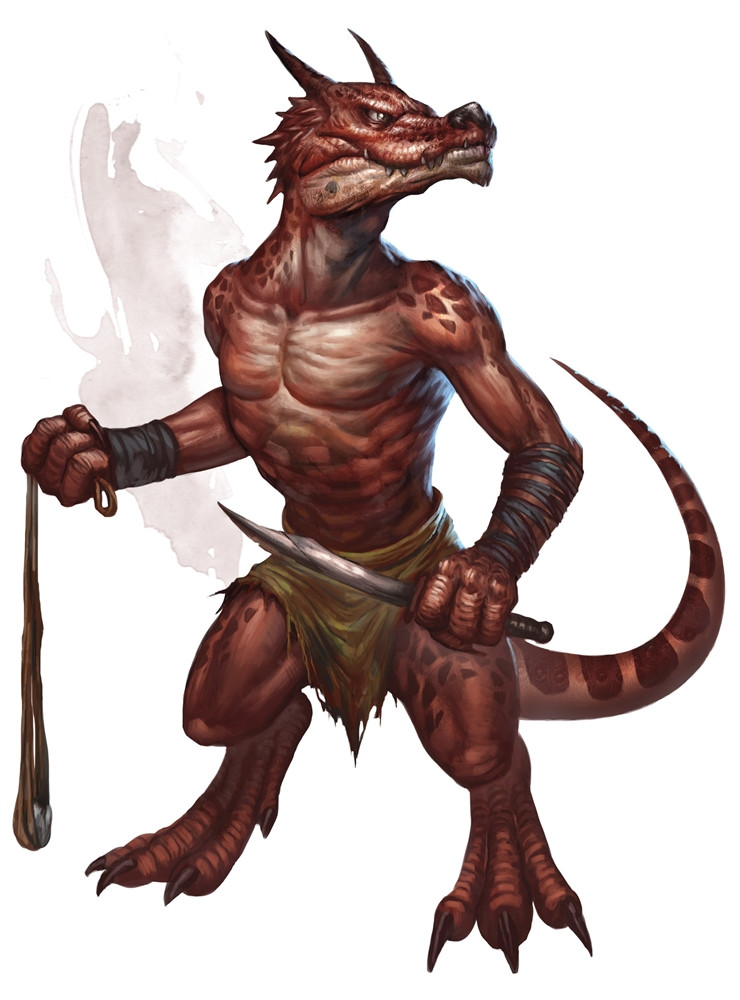 Kobold Kobold