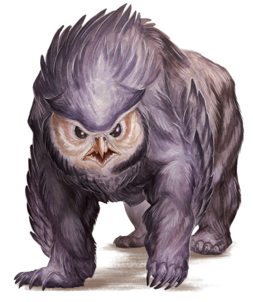 Ours-hibou Ours-hibou
