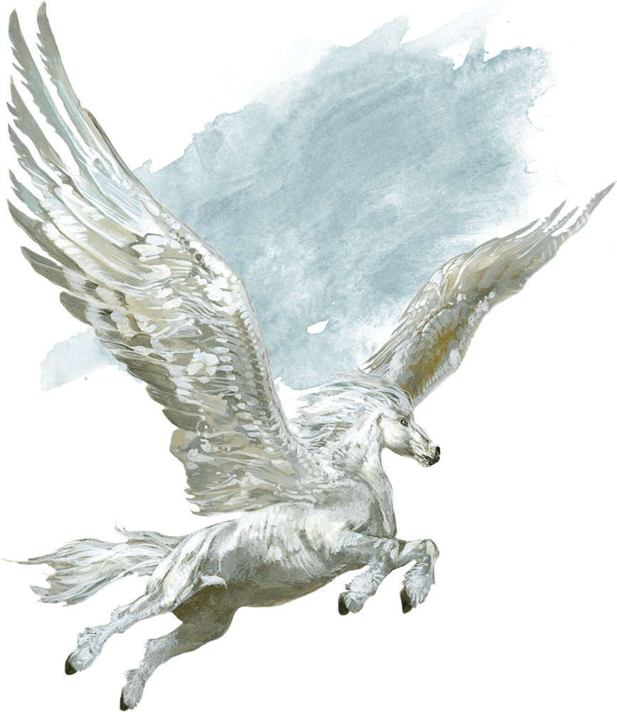Pegasus Pegasus