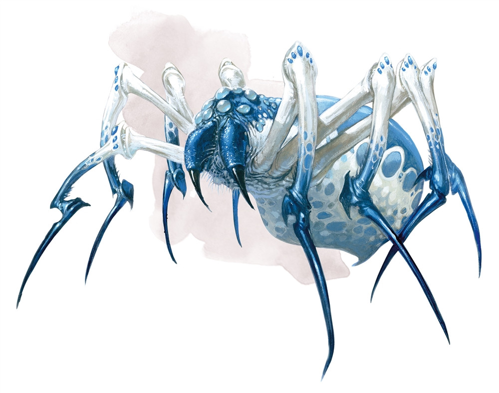 Araignée de phase