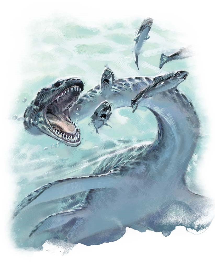 Plésiosaure Plésiosaure