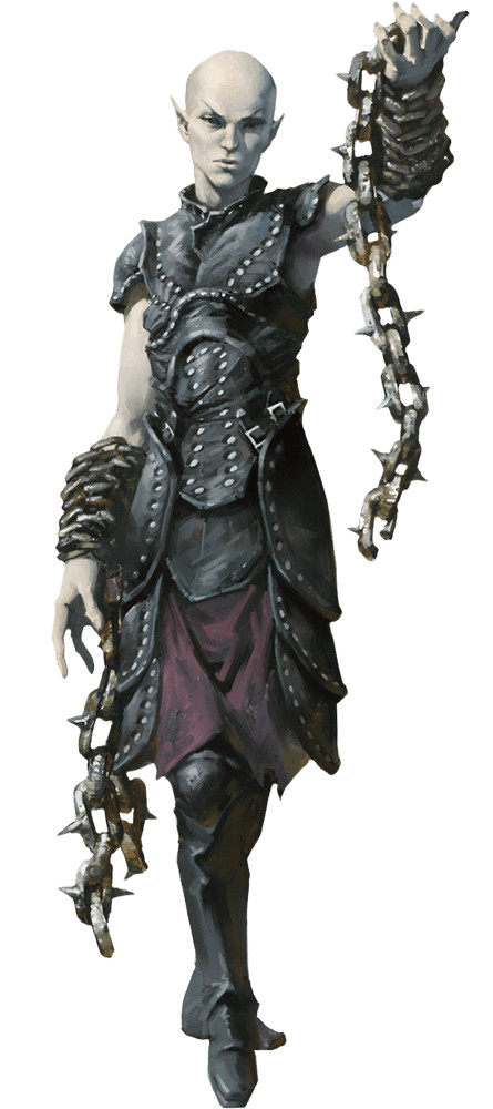 Shadar-kai Shadow Dancer (5.5) Shadar-kai Shadow Dancer (5.5)