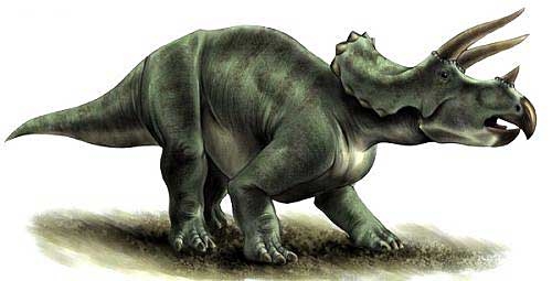 Tricératops Tricératops