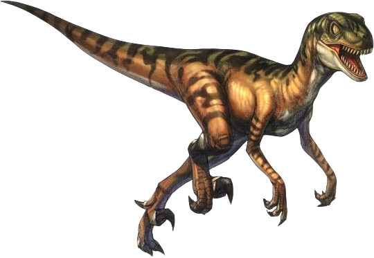 Vélociraptor Vélociraptor